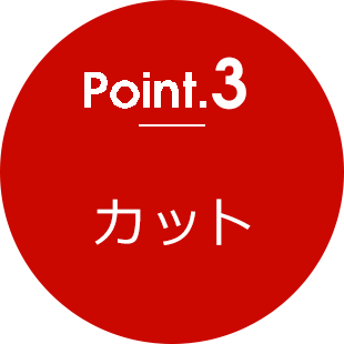 point3 カット