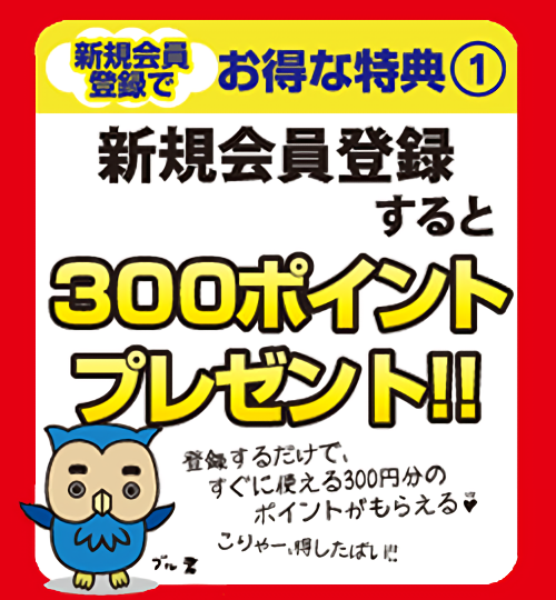 新規会員登録すると300ポイントプレゼント