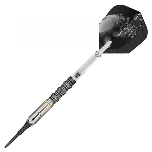 定価12000円 廃盤 ソフトダーツ ターゲット レヴェナント チョ ガンヒ