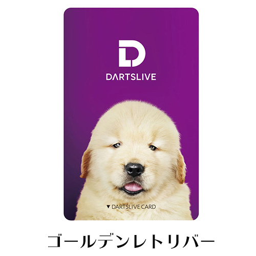 ダーツ DARTSLIVE CARD ライブカード フォトグラフ セピア ビル 犬 